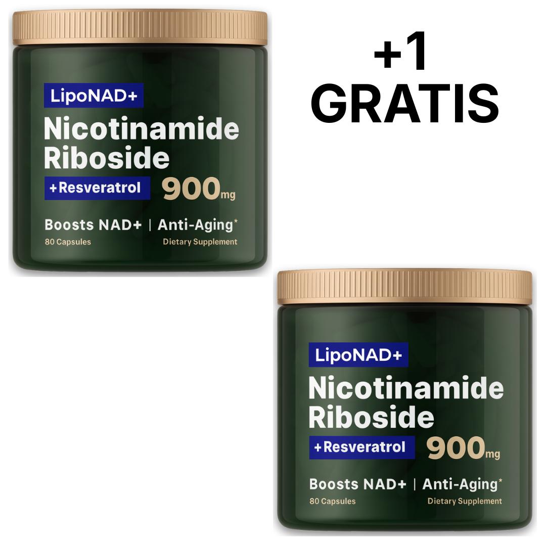 LipoNAD+